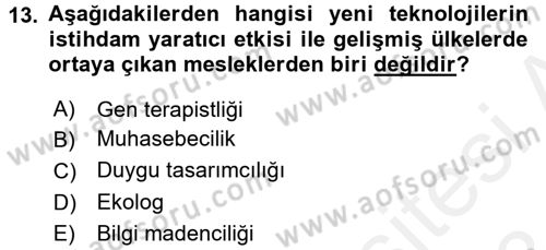Yeni Teknolojiler ve Çalışma Hayatı Dersi 2017 - 2018 Yılı (Final) Dönem Sonu Sınav Soruları 13. Soru