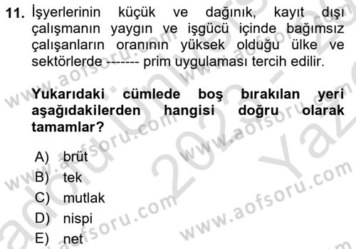 Sosyal Güvenlik Dersi 2023 - 2024 Yılı Yaz Okulu Sınav Soruları 11. Soru