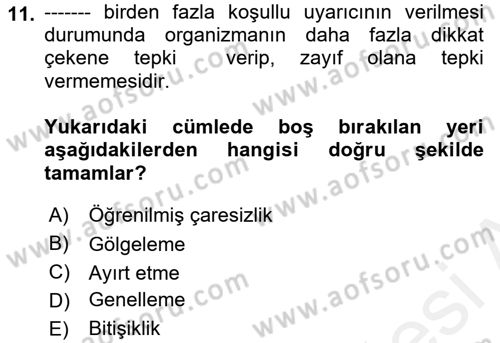 Çocuk Gelişiminde Alan Çalışmaları Dersi 2017 - 2018 Yılı (Vize) Ara Sınavı 11. Soru