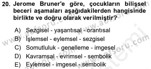 Çocuk Gelişiminde Alan Çalışmaları Dersi 2017 - 2018 Yılı (Vize) Ara Sınavı 20. Soru