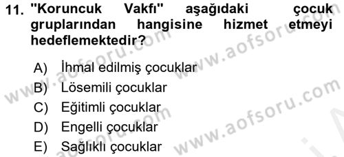 Çocuk Gelişiminde Alan Çalışmaları Dersi 2017 - 2018 Yılı (Final) Dönem Sonu Sınavı 11. Soru