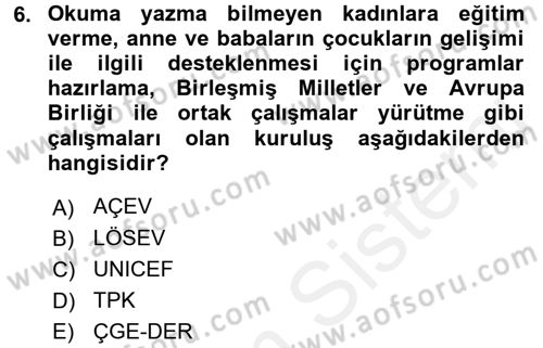 Çocuk Gelişiminde Alan Çalışmaları Dersi 2017 - 2018 Yılı (Final) Dönem Sonu Sınavı 6. Soru