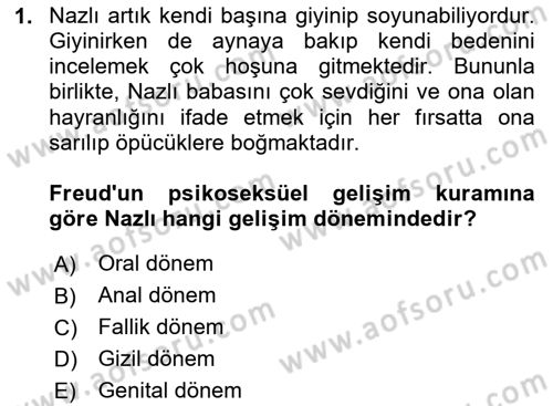 Çocuk Gelişiminde Alan Çalışmaları Dersi 2023 - 2024 Yılı (Final) Dönem Sonu Sınavı 1. Soru