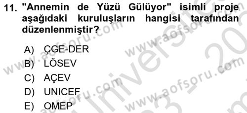 Çocuk Gelişiminde Alan Çalışmaları Dersi 2023 - 2024 Yılı (Final) Dönem Sonu Sınavı 11. Soru