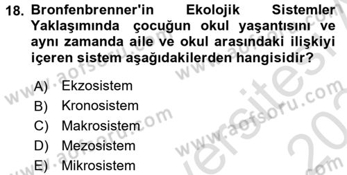 Çocuk Gelişiminde Alan Çalışmaları Dersi 2023 - 2024 Yılı (Final) Dönem Sonu Sınavı 18. Soru