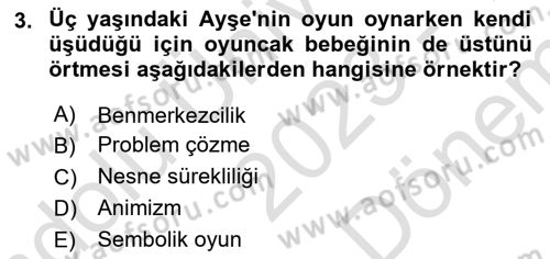 Çocuk Gelişiminde Alan Çalışmaları Dersi 2023 - 2024 Yılı (Final) Dönem Sonu Sınavı 3. Soru