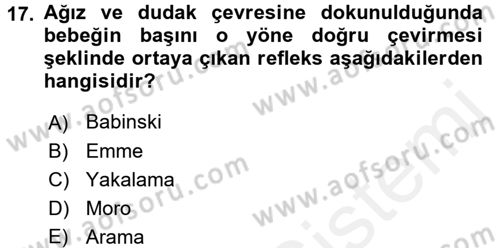 Çocuk Gelişimde Normal Ve Atipik Gelişim Dersi 2017 - 2018 Yılı (Vize) Ara Sınavı 17. Soru