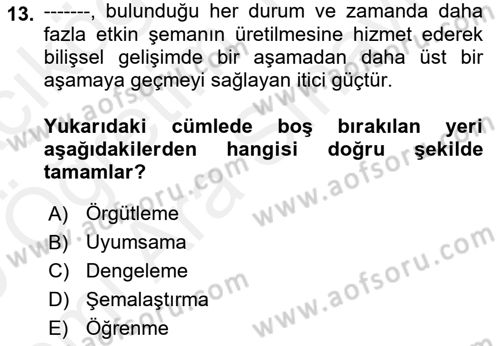 Çocuk Gelişimde Normal Ve Atipik Gelişim Dersi 2018 - 2019 Yılı (Vize) Ara Sınavı 13. Soru