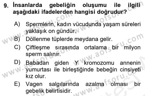 Çocuk Gelişimde Normal Ve Atipik Gelişim Dersi 2018 - 2019 Yılı (Vize) Ara Sınavı 9. Soru