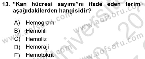 Çocuk Gelişimde Normal Ve Atipik Gelişim Dersi 2020 - 2021 Yılı Yaz Okulu Sınavı 13. Soru