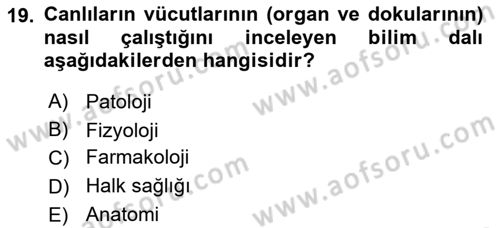 Çocuk Gelişimde Normal Ve Atipik Gelişim Dersi 2020 - 2021 Yılı Yaz Okulu Sınavı 19. Soru