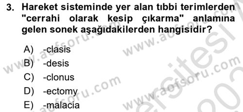 Çocuk Gelişimde Normal Ve Atipik Gelişim Dersi 2020 - 2021 Yılı Yaz Okulu Sınavı 3. Soru