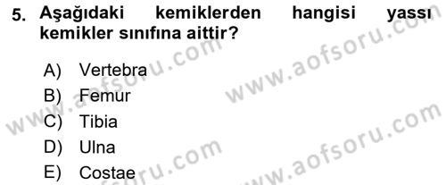 Çocuk Gelişimde Normal Ve Atipik Gelişim Dersi 2020 - 2021 Yılı Yaz Okulu Sınavı 5. Soru