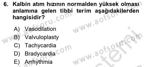 Çocuk Gelişimde Normal Ve Atipik Gelişim Dersi 2020 - 2021 Yılı Yaz Okulu Sınavı 6. Soru