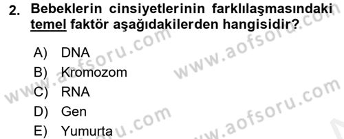 Çocuk Gelişiminde Normal Ve Atipik Gelişim Dersi 2015 - 2016 Yılı (Vize) Ara Sınav Soruları 2. Soru