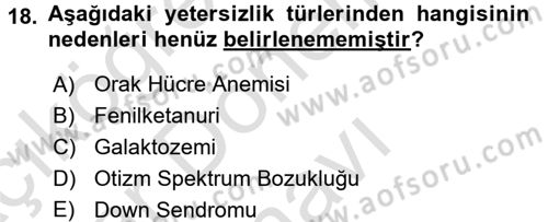 Çocuk Gelişiminde Normal Ve Atipik Gelişim Dersi 2015 - 2016 Yılı (Final) Dönem Sonu Sınav Soruları 18. Soru