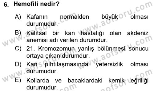 Çocuk Gelişiminde Normal Ve Atipik Gelişim Dersi 2015 - 2016 Yılı (Final) Dönem Sonu Sınav Soruları 6. Soru