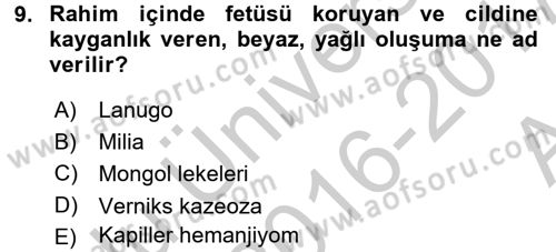 Çocuk Gelişiminde Normal Ve Atipik Gelişim Dersi 2016 - 2017 Yılı (Vize) Ara Sınav Soruları 9. Soru