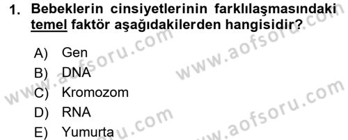 Çocuk Gelişiminde Normal Ve Atipik Gelişim Dersi 2017 - 2018 Yılı 3 Ders Sınav Soruları 1. Soru