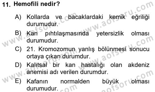 Çocuk Gelişiminde Normal Ve Atipik Gelişim Dersi 2017 - 2018 Yılı 3 Ders Sınav Soruları 11. Soru