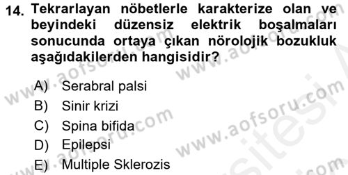 Çocuk Gelişiminde Normal Ve Atipik Gelişim Dersi 2017 - 2018 Yılı 3 Ders Sınav Soruları 14. Soru