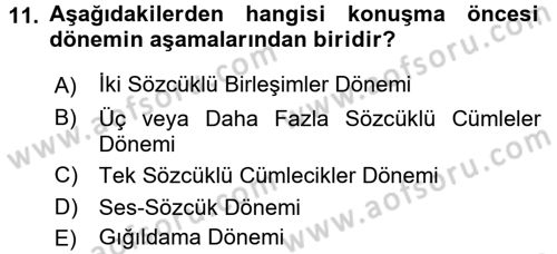 Çocuk Gelişimi Dersi 2016 - 2017 Yılı (Vize) Ara Sınavı 11. Soru