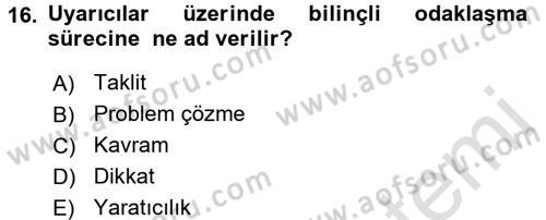 Çocuk Gelişimi Dersi 2016 - 2017 Yılı (Vize) Ara Sınavı 16. Soru