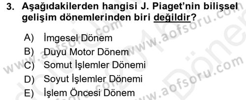 Çocuk Gelişimi Dersi 2016 - 2017 Yılı (Final) Dönem Sonu Sınav Soruları 3. Soru