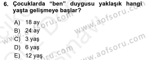 Çocuk Gelişimi Dersi 2016 - 2017 Yılı (Final) Dönem Sonu Sınav Soruları 6. Soru