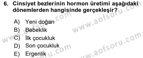 Çocuk Gelişimi Dersi 2017 - 2018 Yılı 3 Ders Sınav Soruları 6. Soru