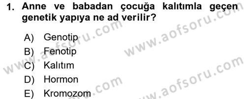 Çocuk Gelişimi Dersi Ara Sınavı Deneme Sınav Soruları 1. Soru