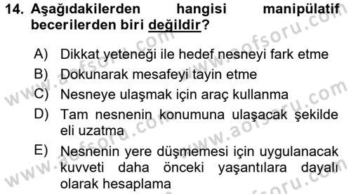 Çocuk Gelişimi Dersi Ara Sınavı Deneme Sınav Soruları 14. Soru