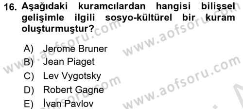 Çocuk Gelişimi Dersi Ara Sınavı Deneme Sınav Soruları 16. Soru