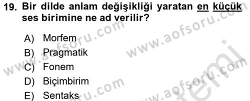 Çocuk Gelişimi Dersi Ara Sınavı Deneme Sınav Soruları 19. Soru