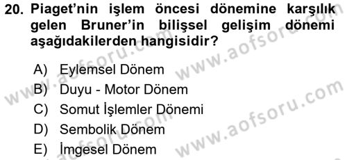 Çocuk Gelişimi Dersi 2017 - 2018 Yılı (Vize) Ara Sınavı 20. Soru