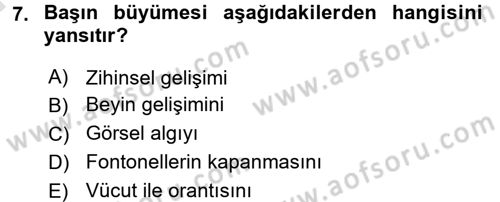 Çocuk Gelişimi Dersi Ara Sınavı Deneme Sınav Soruları 7. Soru