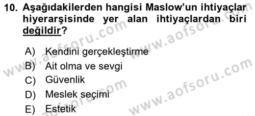 Çocuk Gelişimi Dersi 2018 - 2019 Yılı 3 Ders Sınav Soruları 10. Soru