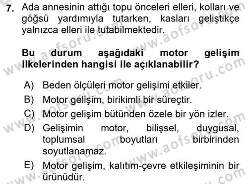 Çocuk Gelişimi Dersi 2018 - 2019 Yılı 3 Ders Sınav Soruları 7. Soru