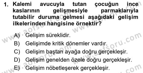 Çocuk Gelişimi Dersi Ara Sınavı Deneme Sınav Soruları 1. Soru