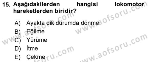 Çocuk Gelişimi Dersi Ara Sınavı Deneme Sınav Soruları 15. Soru