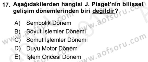 Çocuk Gelişimi Dersi Ara Sınavı Deneme Sınav Soruları 17. Soru