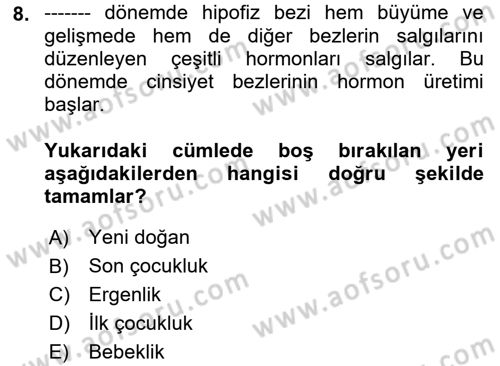Çocuk Gelişimi Dersi Ara Sınavı Deneme Sınav Soruları 8. Soru