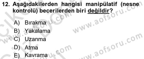 Çocuk Gelişimi Dersi Ara Sınavı Deneme Sınav Soruları 12. Soru