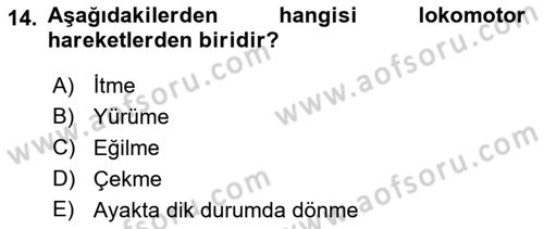 Çocuk Gelişimi Dersi Ara Sınavı Deneme Sınav Soruları 14. Soru