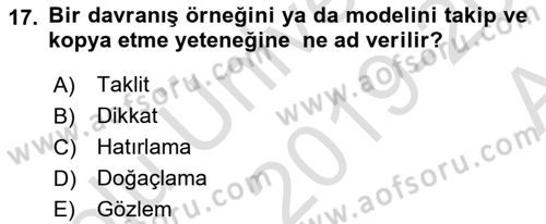 Çocuk Gelişimi Dersi Ara Sınavı Deneme Sınav Soruları 17. Soru