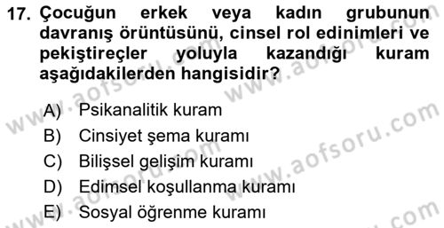 Çocuk Gelişimi Dersi 2022 - 2023 Yılı Yaz Okulu Sınav Soruları 17. Soru