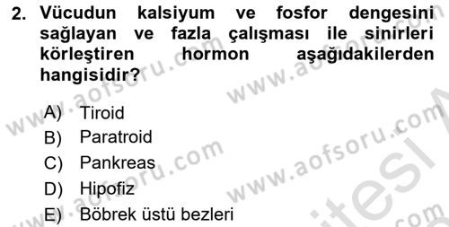 Çocuk Gelişimi Dersi 2022 - 2023 Yılı Yaz Okulu Sınav Soruları 2. Soru