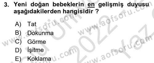 Çocuk Gelişimi Dersi 2022 - 2023 Yılı Yaz Okulu Sınav Soruları 3. Soru
