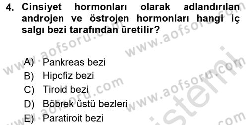 Gelişimsel Tanı Ve Değerlendirme Yöntemleri Dersi 2023 - 2024 Yılı (Final) Dönem Sonu Sınav Soruları 4. Soru