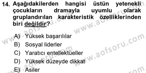 Çocuk Ve Drama Dersi 2017 - 2018 Yılı 3 Ders Sınav Soruları 14. Soru